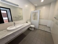 Shamrock Park (D10), Semi-Detached #501986311